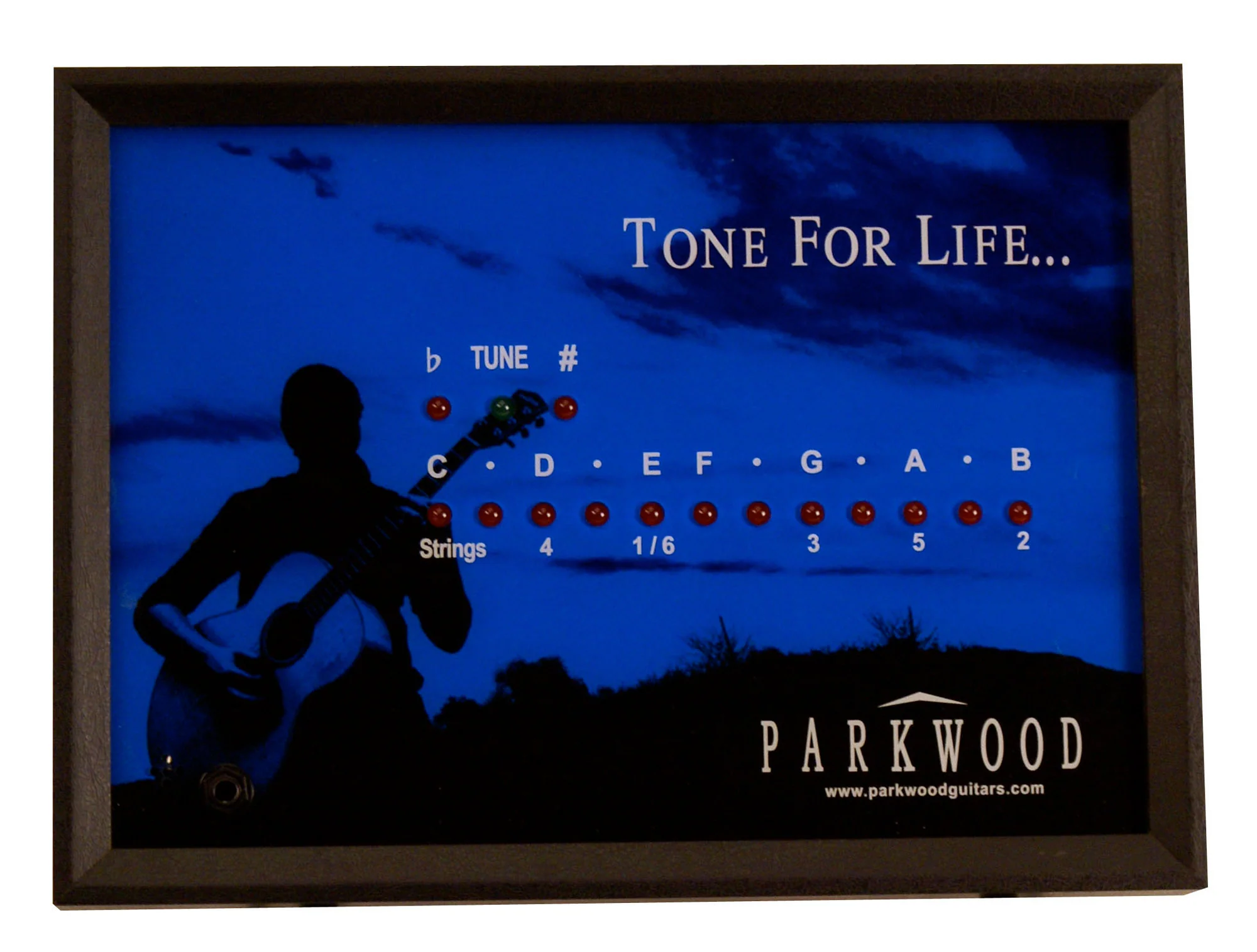 PARKWOOD WALL MOUNTED TUNER