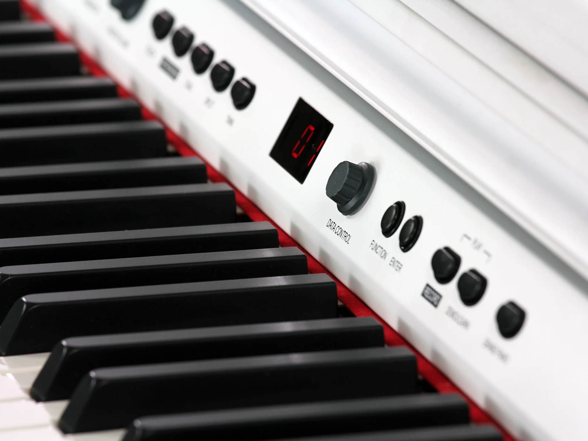 Adagio DP150 White Digital Piano - Image 10