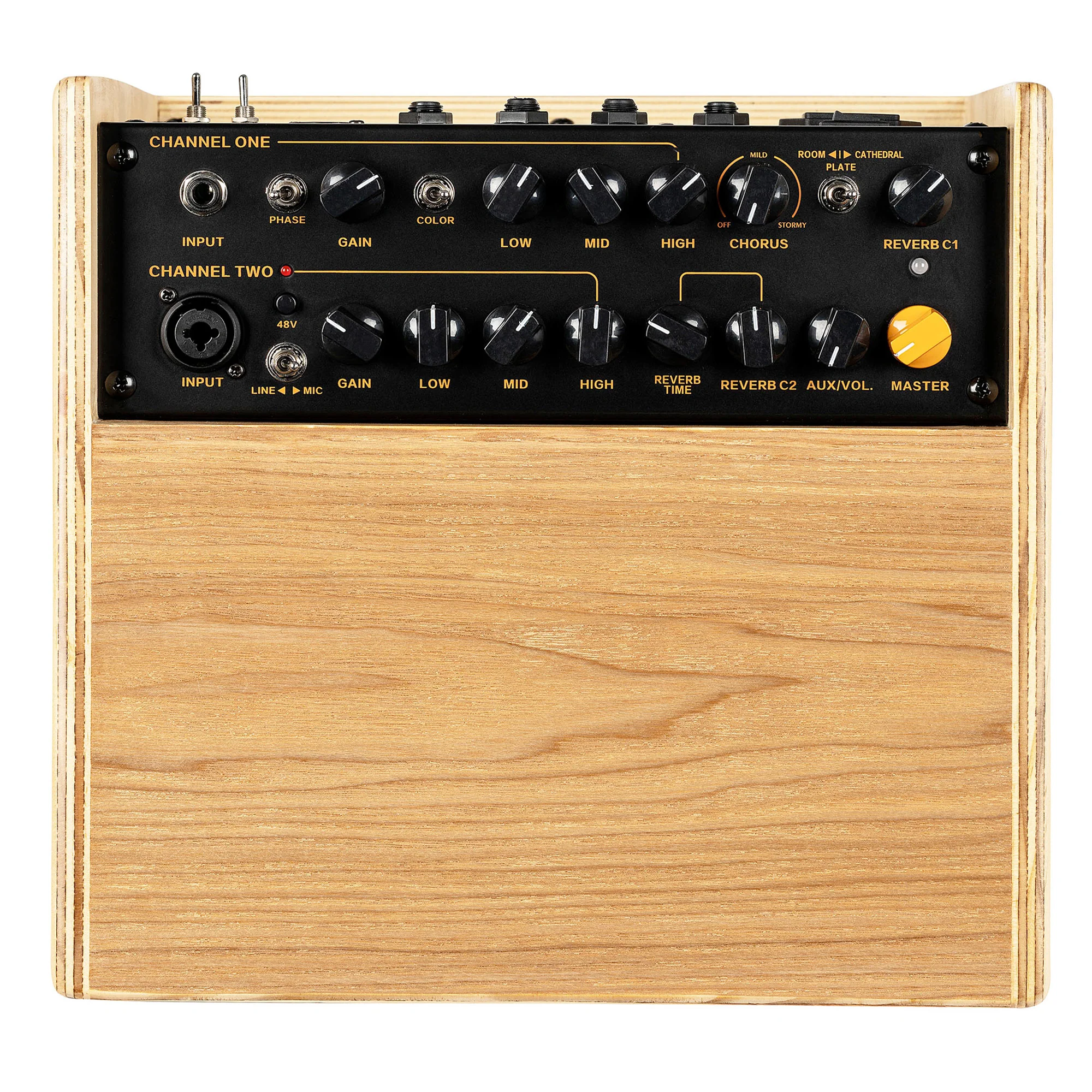Ortega 100W Amplifier, 2 Channels, Reverb/Chorus - Image 2