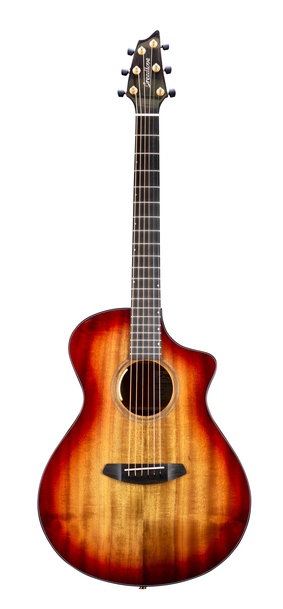 Breedlove Oregon Concert This Old Fashion