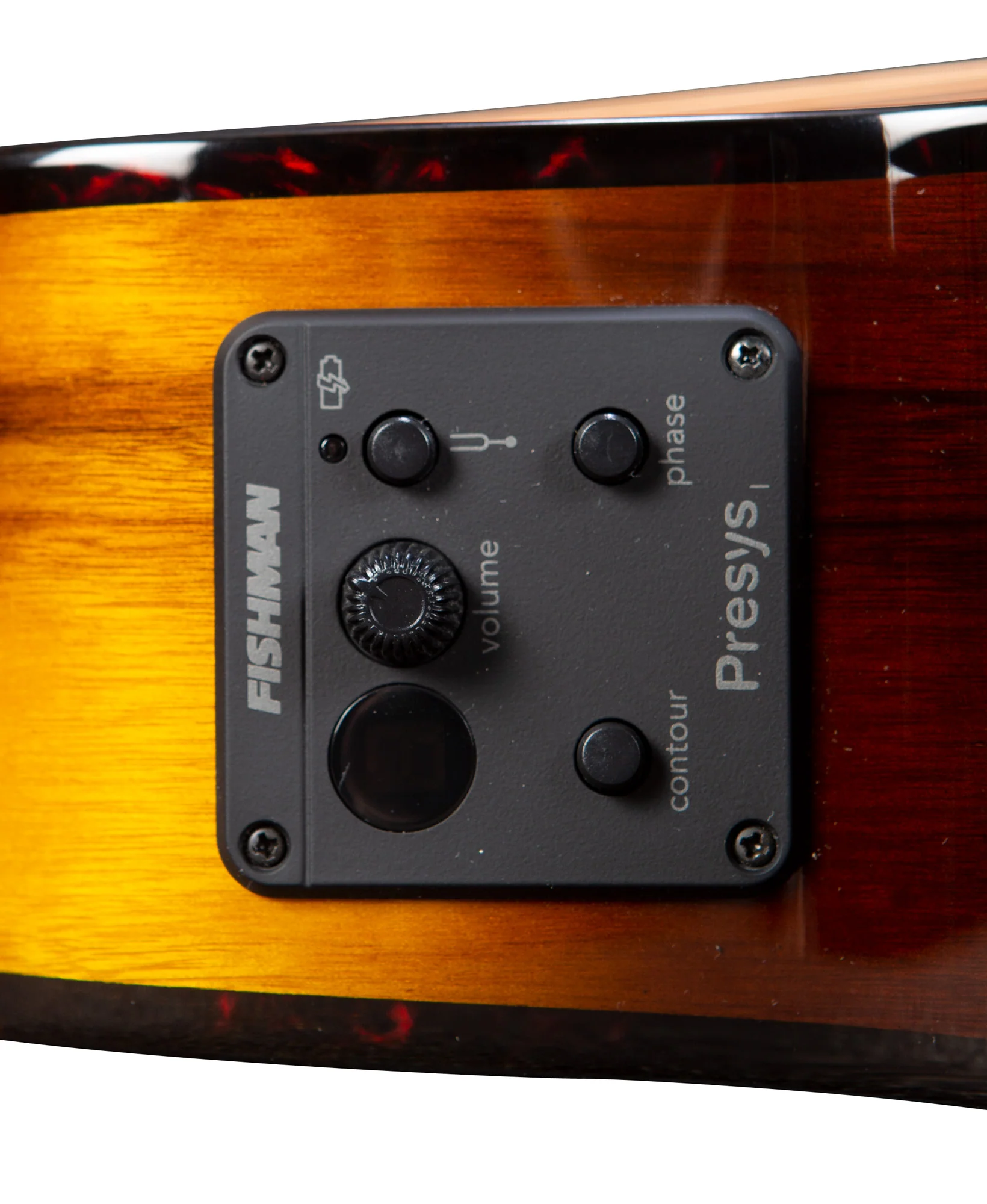 Breedlove Pursuit Ex S Concert CE Tiger - Image 5
