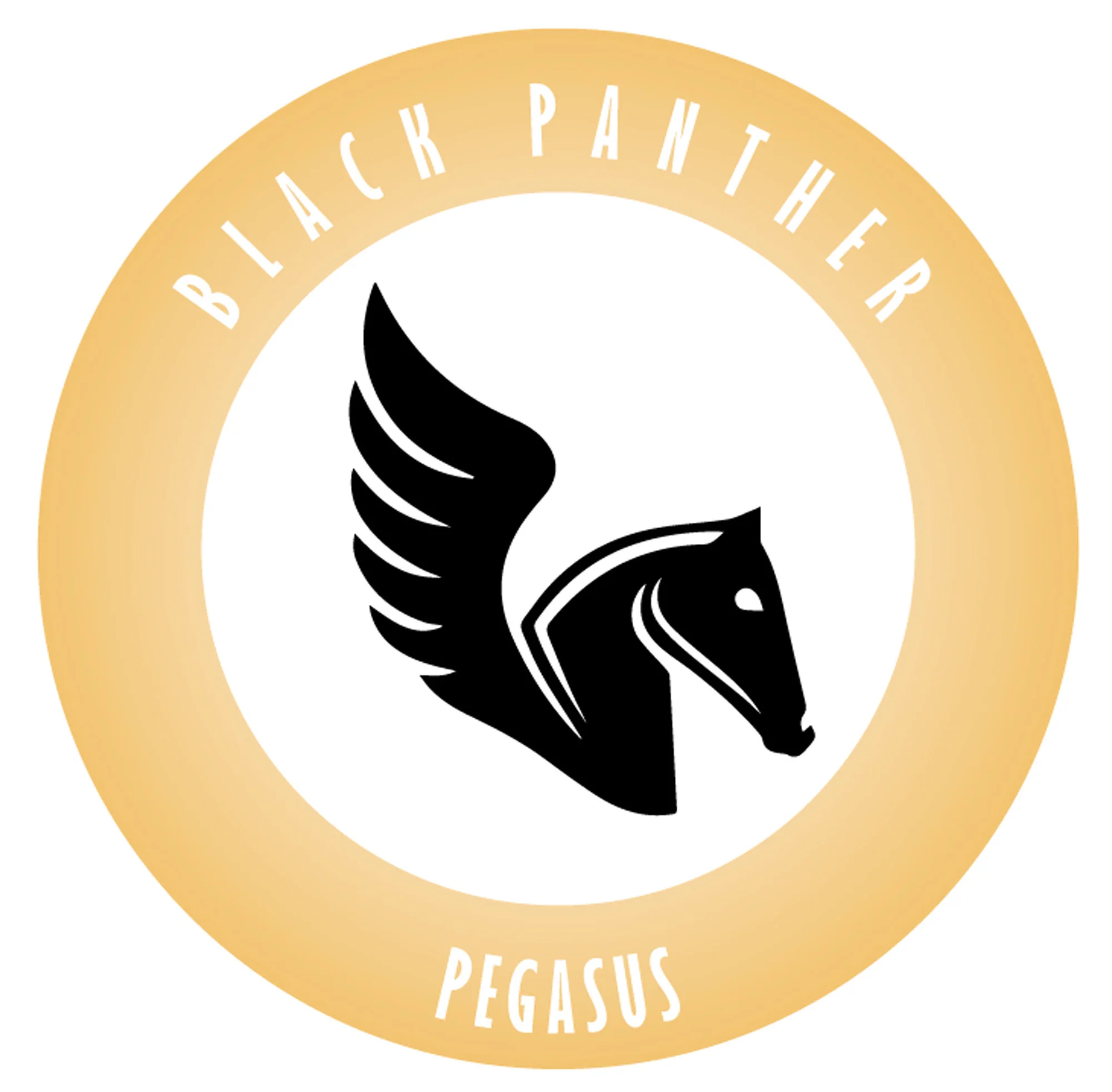 Mapex Black Panther PEGASUS 14'' - Image 2