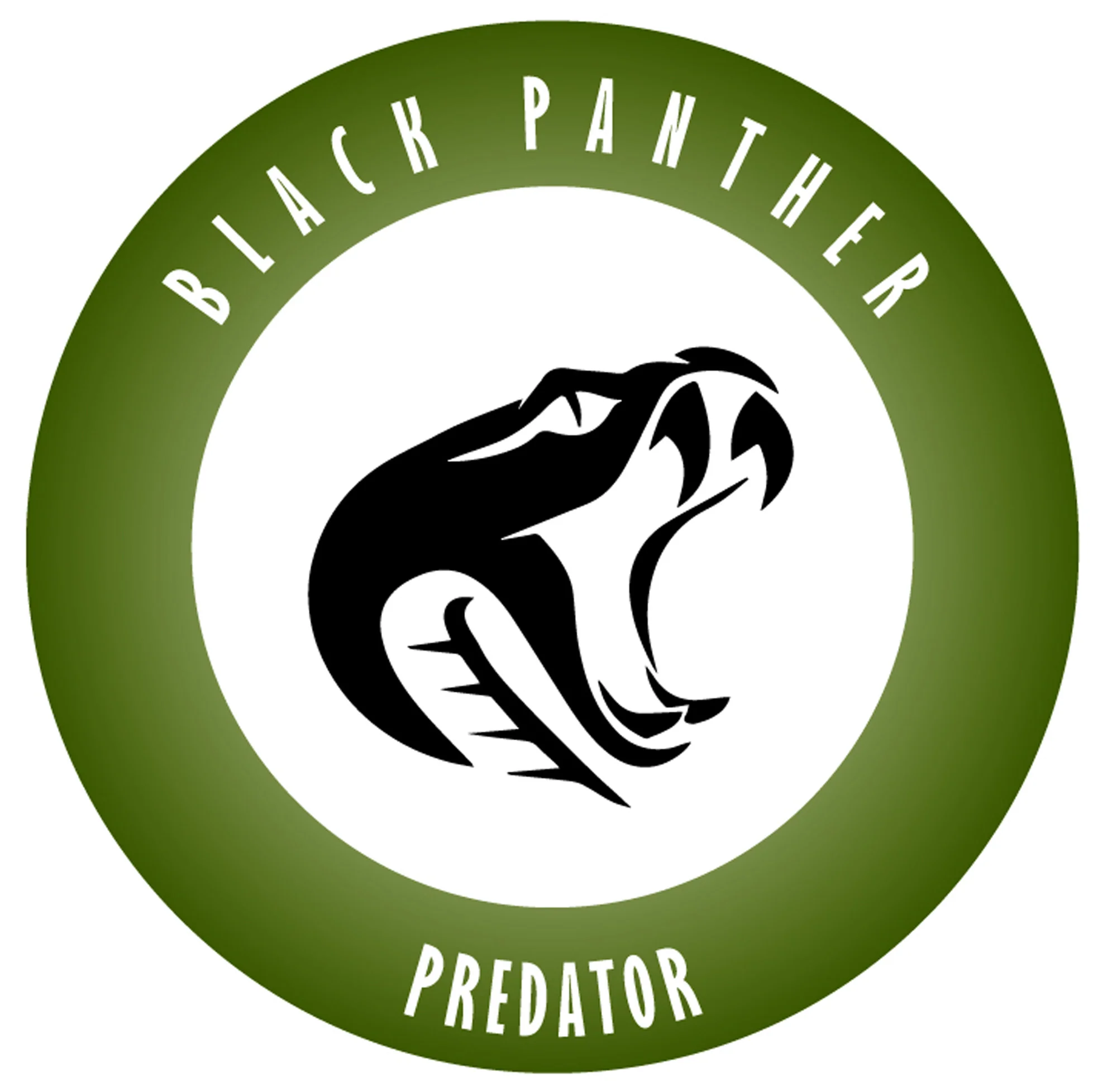 Mapex Black Panther PREDATOR 14'' - Image 2