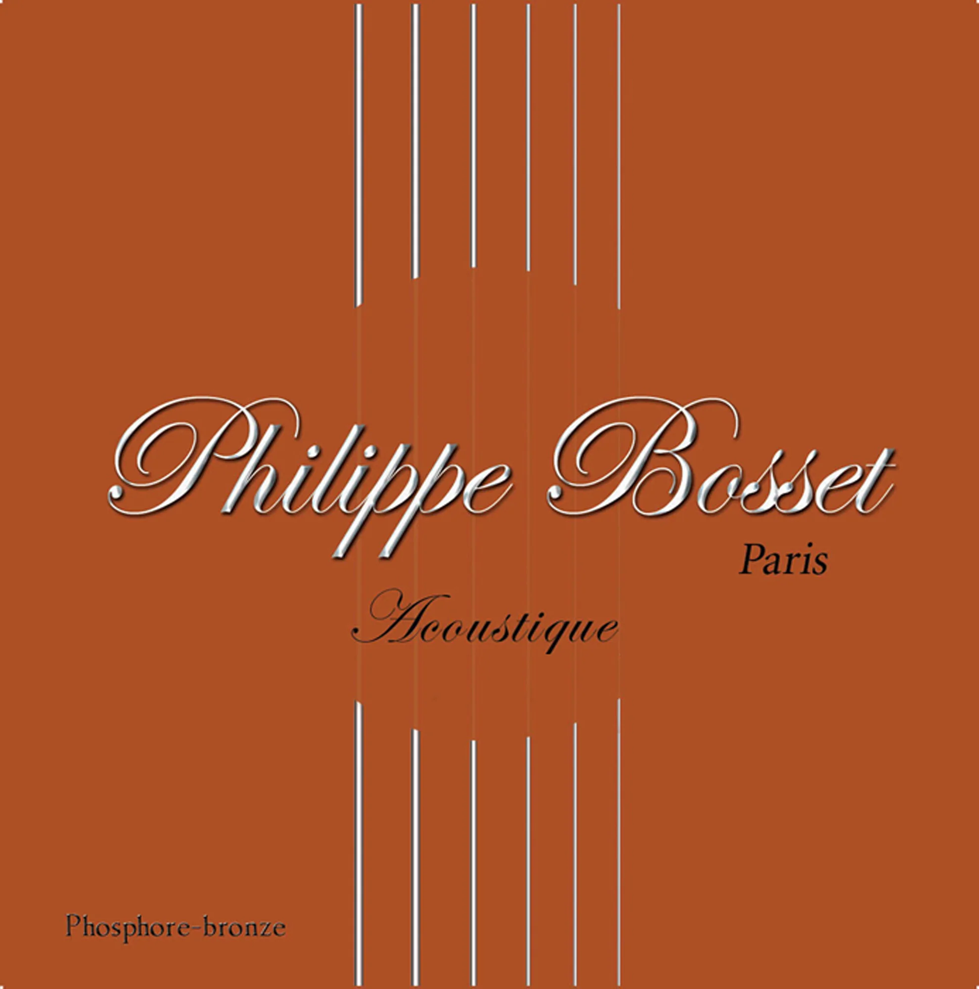STRING P.BOSSET ACOUSTIC 012