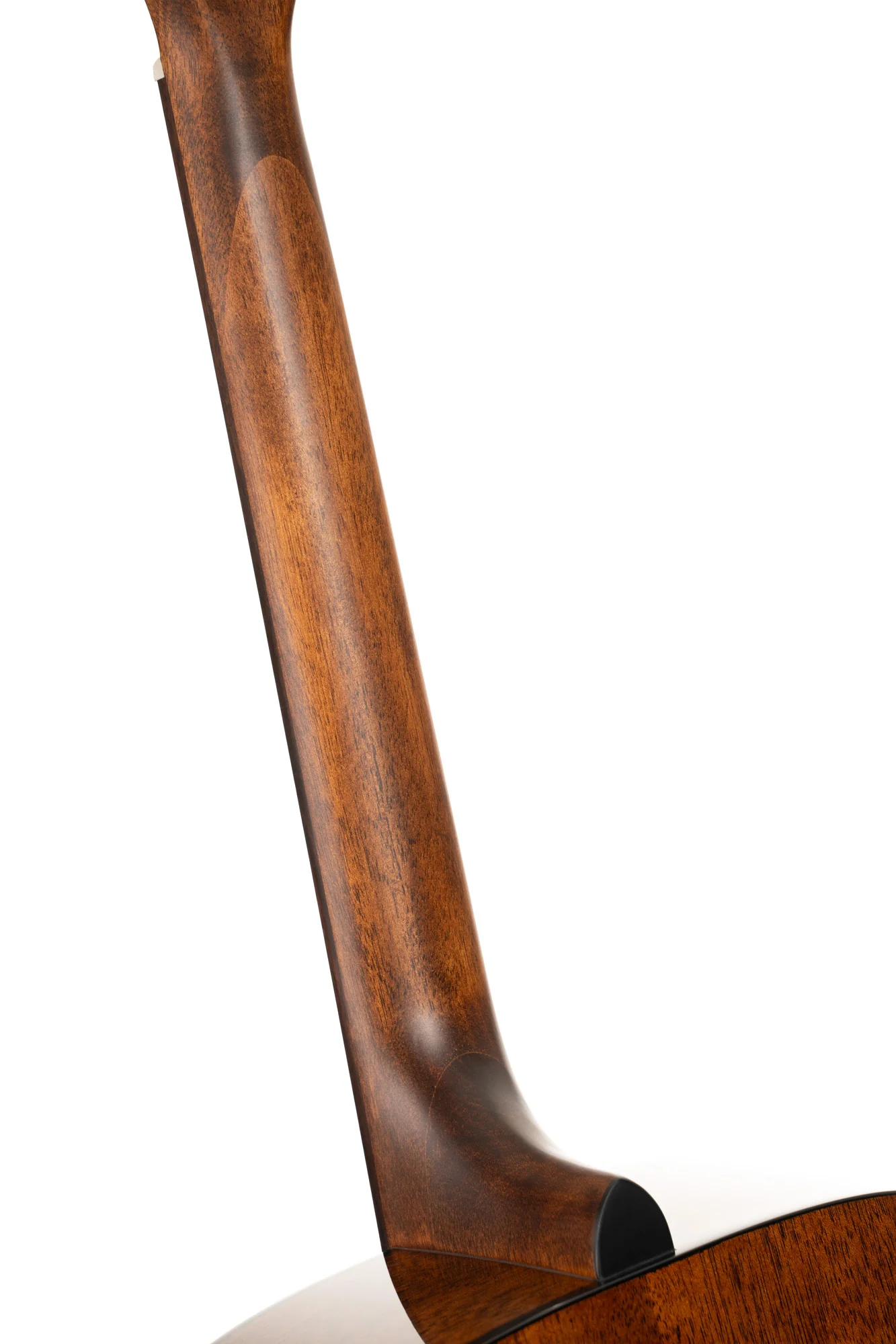 Cort Earth 60 Naturel - Image 7