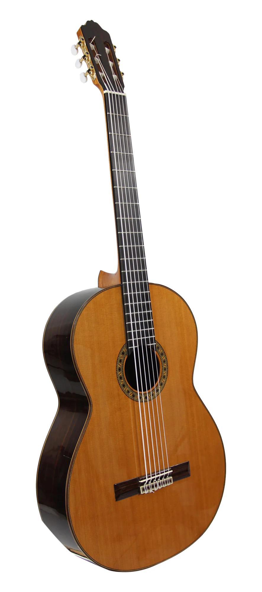 Esteve 6C Octave Bass - Image 3