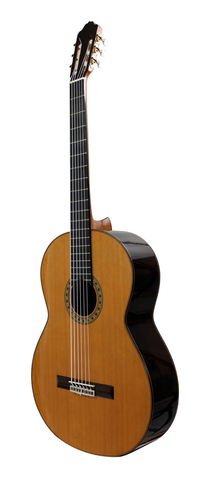 Esteve 6C Octave Bass - Image 4