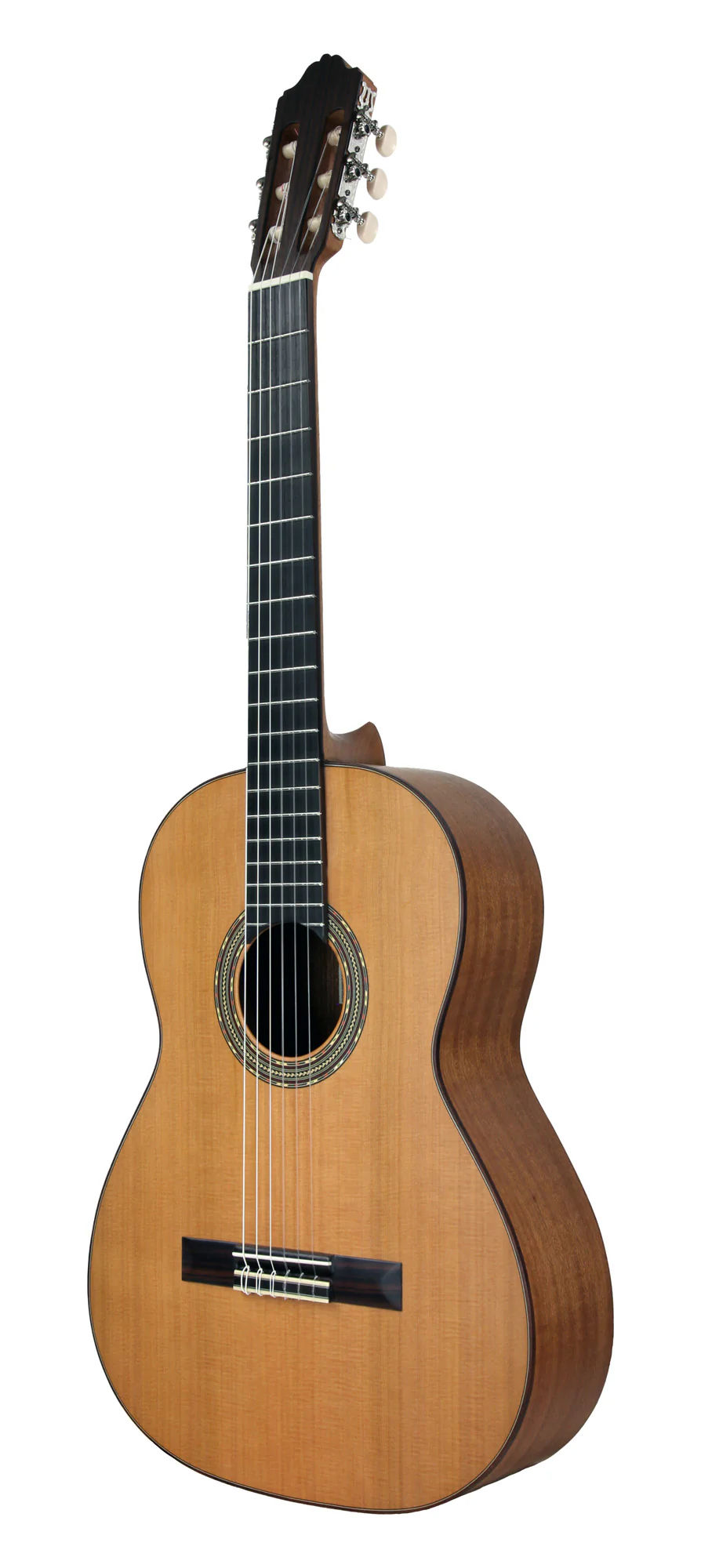 Esteve 4ST Open Pore Cedar - Image 4