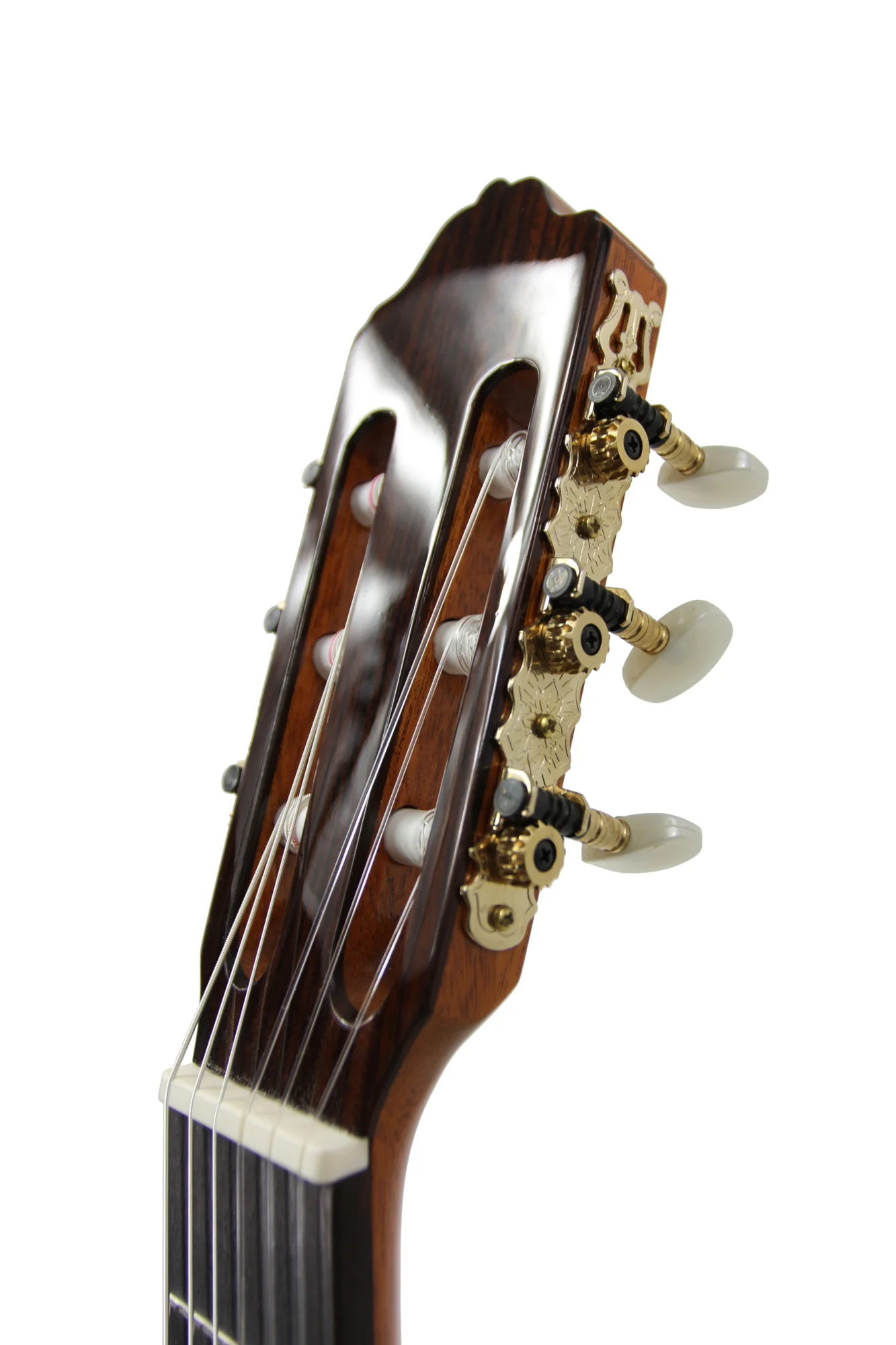 Esteve 7SM Brillant - Image 7