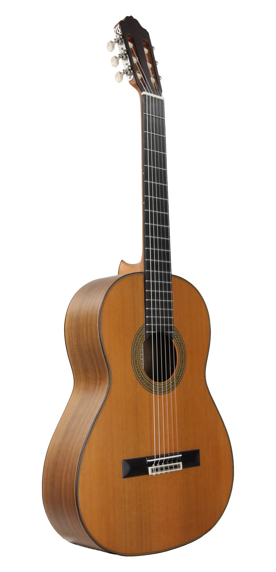 Esteve Model 5 - Image 3