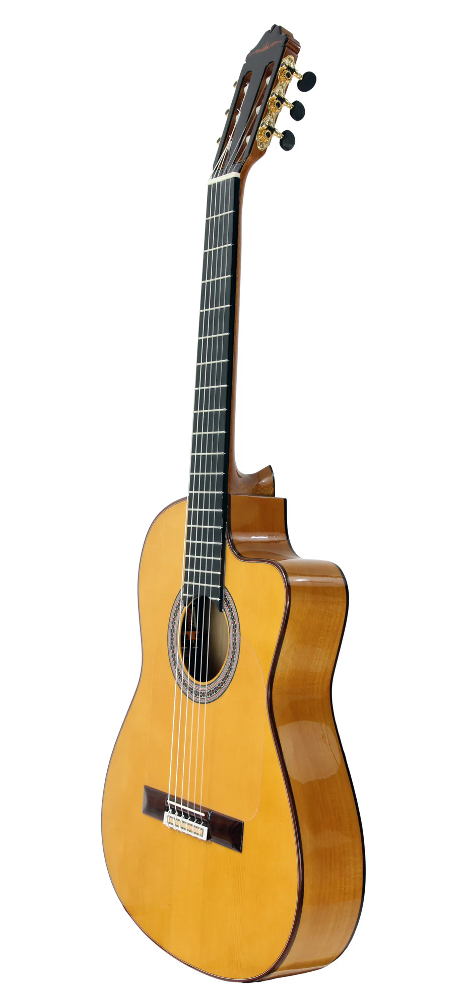 Esteve GipsyKings Electro Naturelle - Image 4