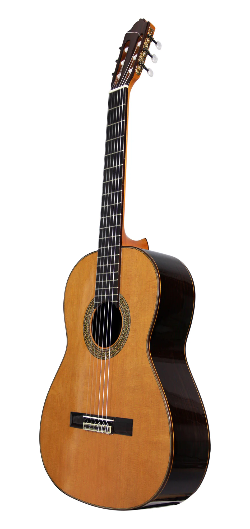 Esteve Model 7 Left-Handed - Image 4