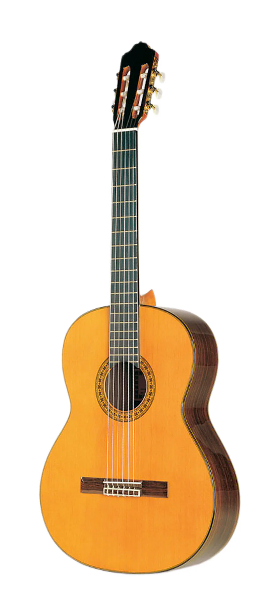 Esteve Model 8 Cedar