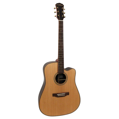 freshman guitar folk SONGDCERW dreadnought electro natural