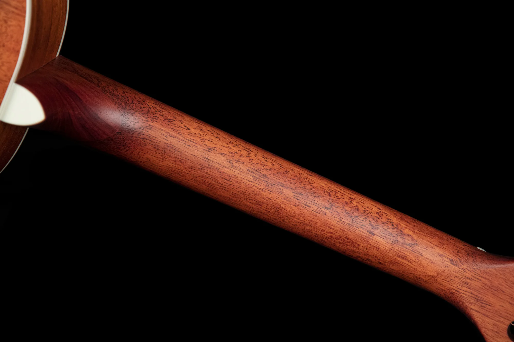 Cort Classic AP550M - Image 9