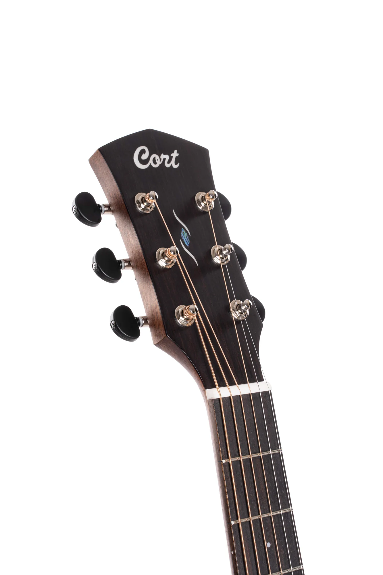 Cort folk Core-Ga Blackwood Light Burst - Image 5