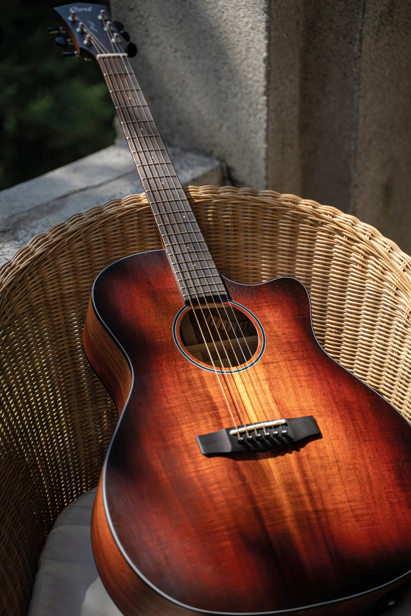 Cort folk Core-Ga Blackwood Light Burst - Image 6