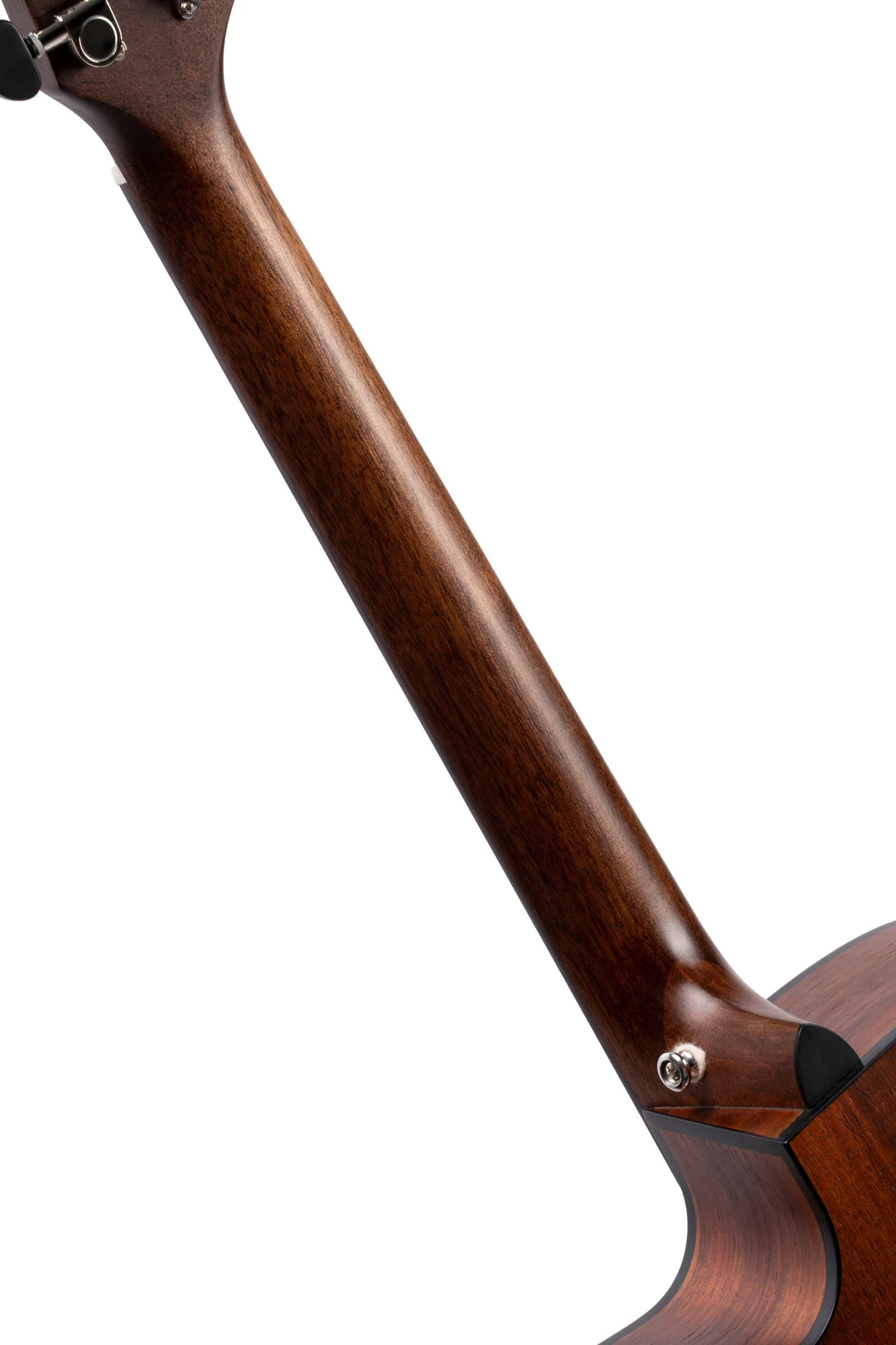 CORT CORE-OC BLACKWOOD LIGHT B GUITAR. - Image 4