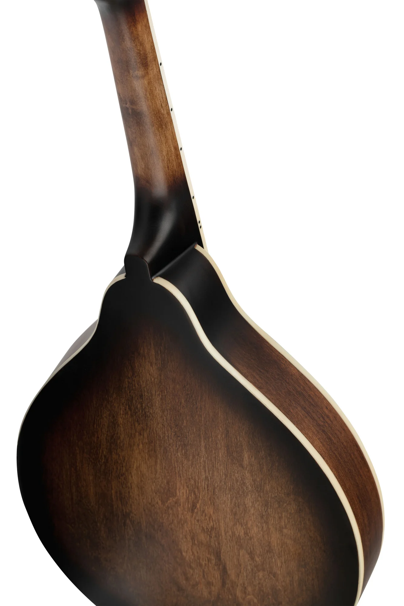 Ortega Mandolin Americana - Image 9