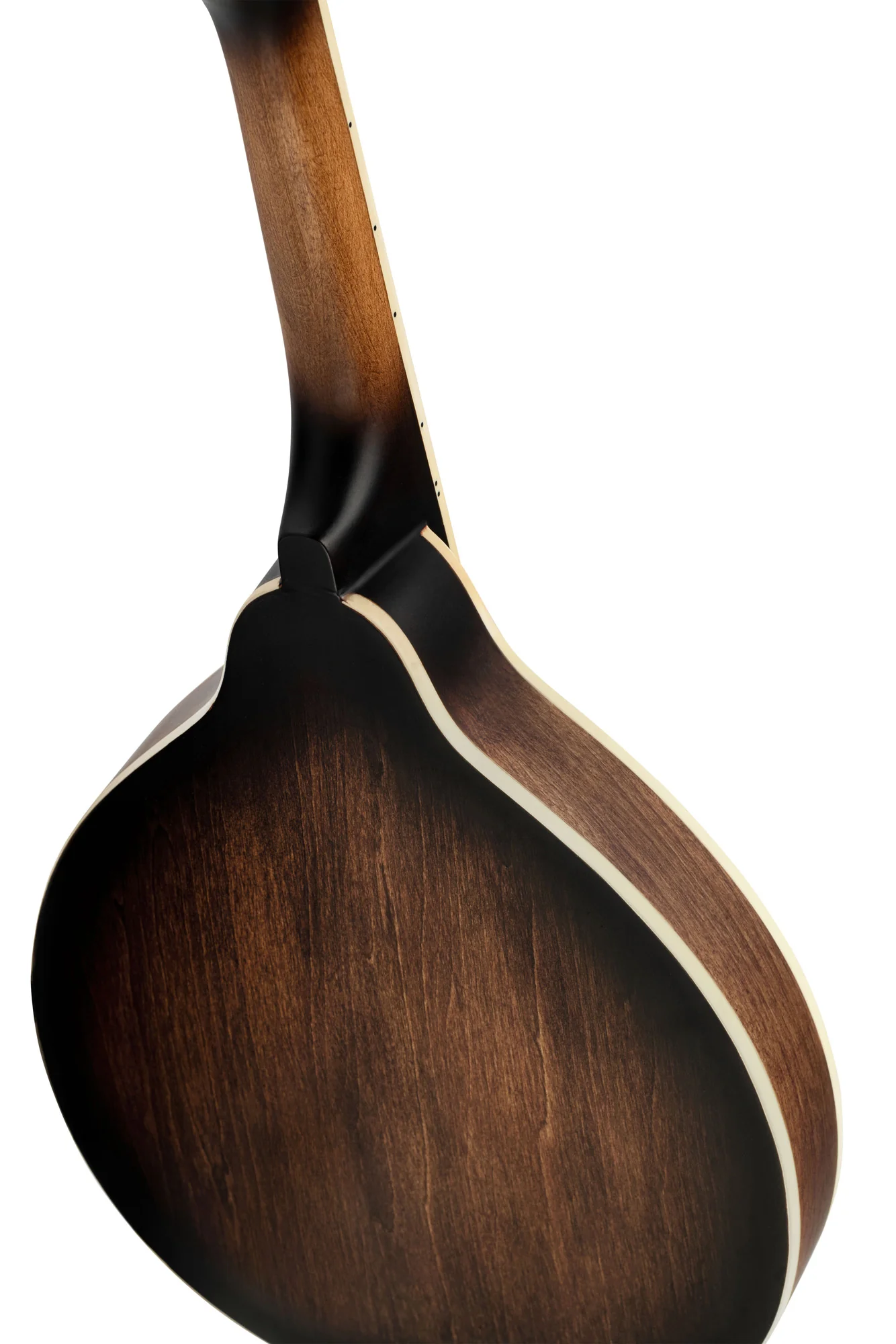 Ortega Americana Electro Mandolin - Image 9