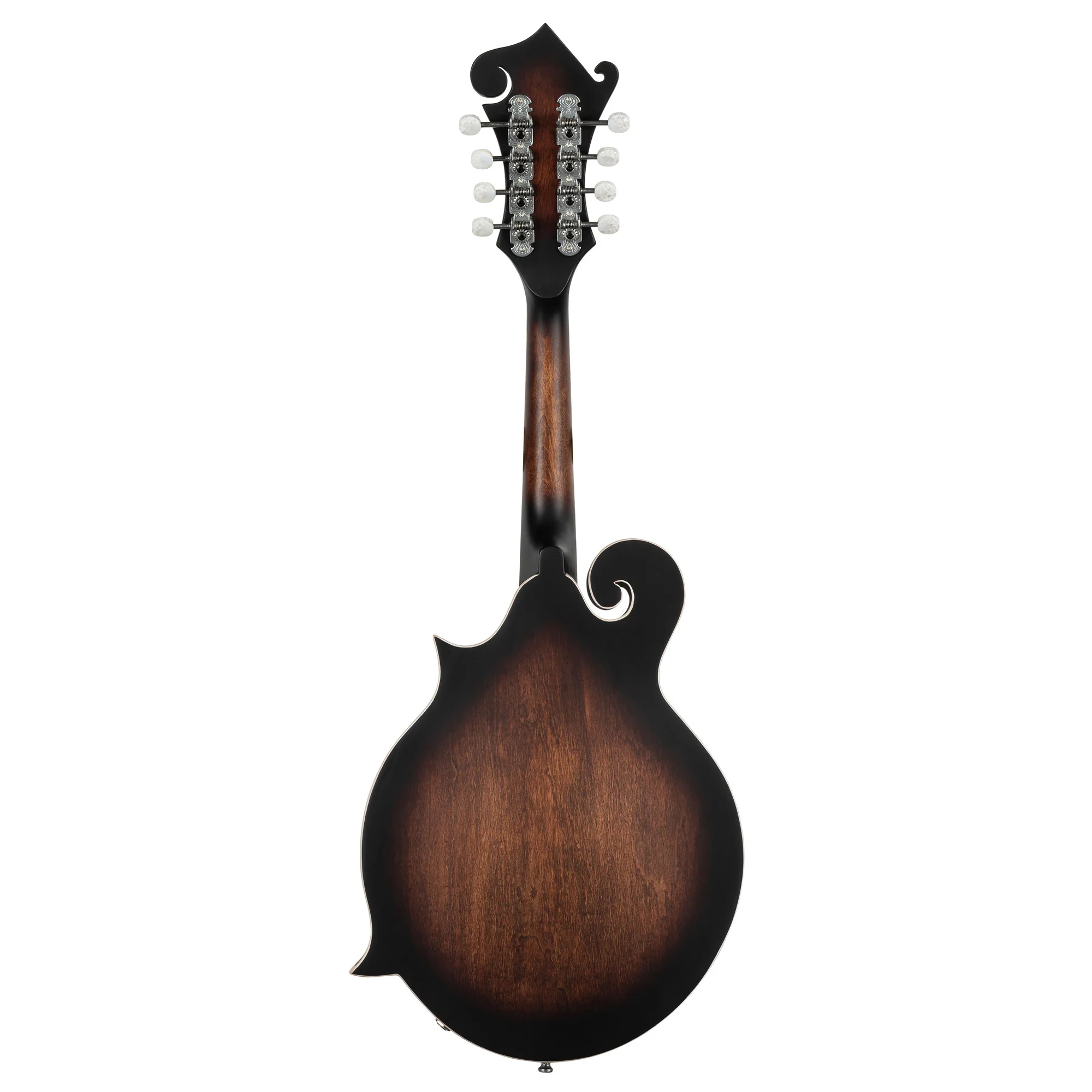 Ortega Mandolin F Style Electro - Image 4