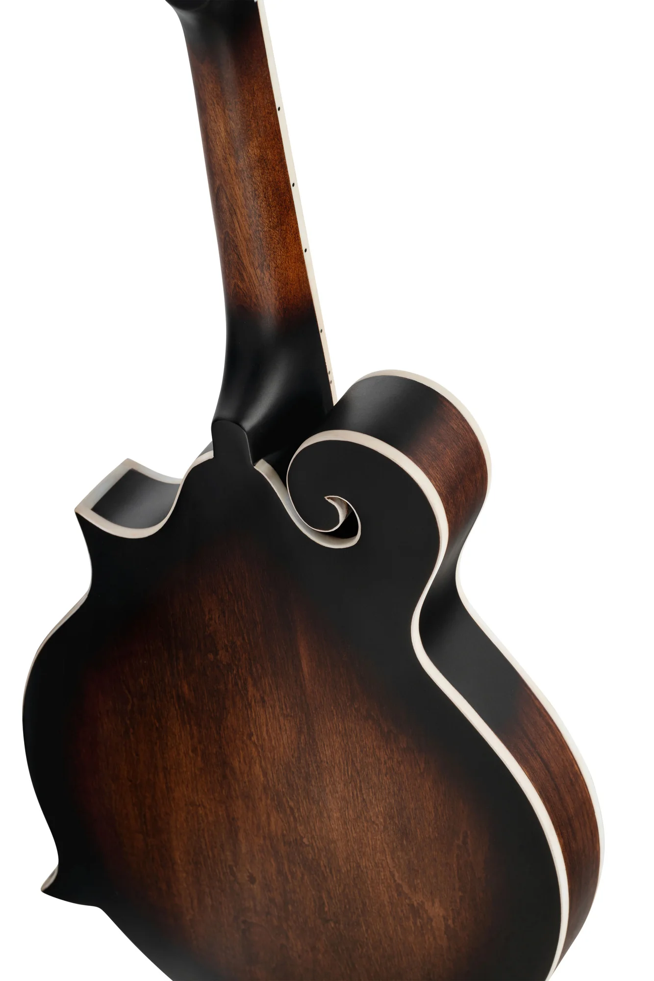 Ortega Mandolin F Style Electro - Image 9