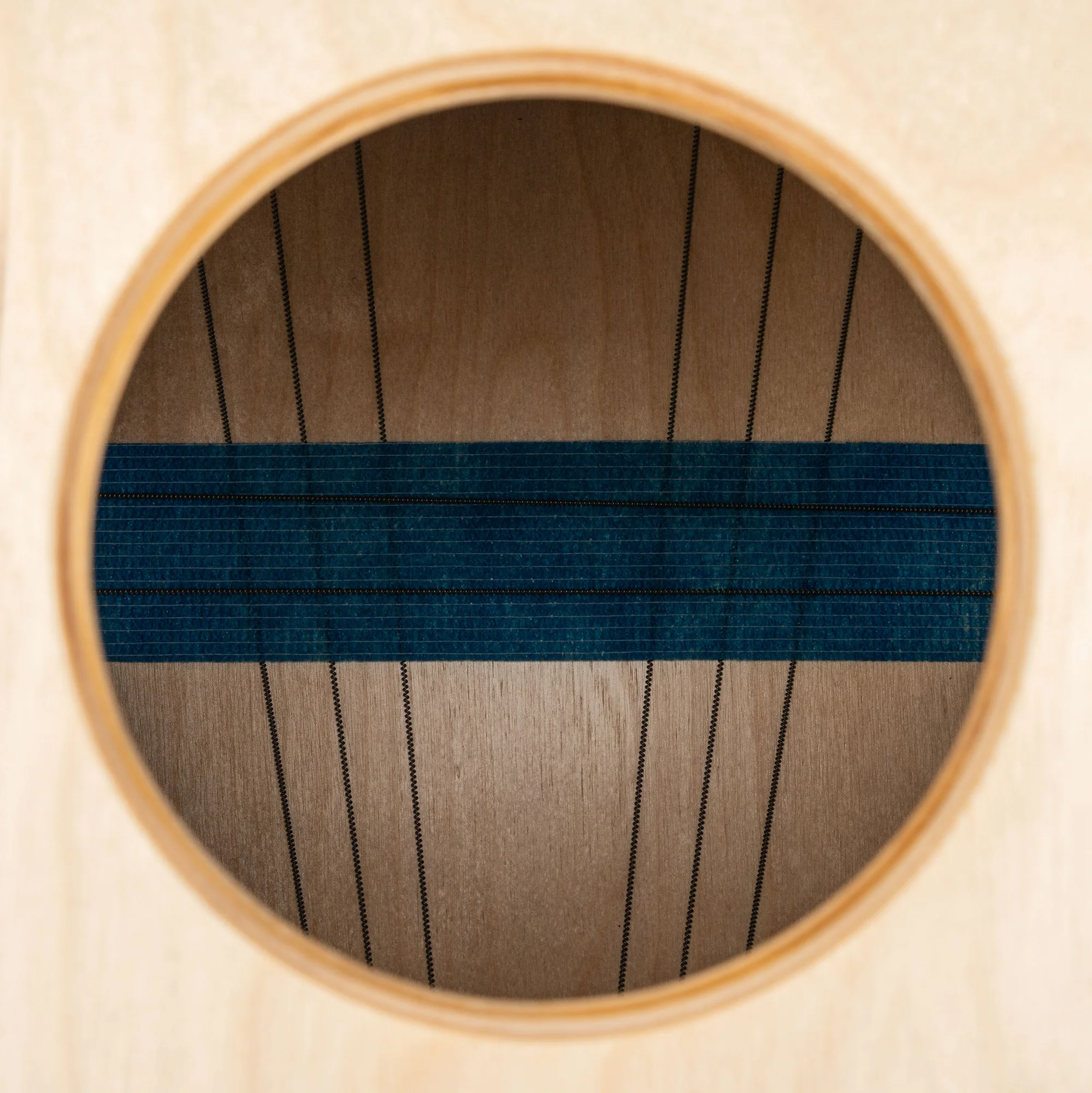 Meinl Cajon Artisan Tango Blue Fade AETLBF - Image 4