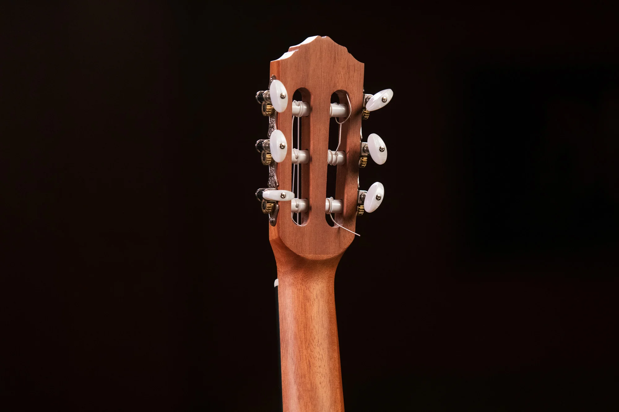 Ortega RGL5 Naturel - Image 6