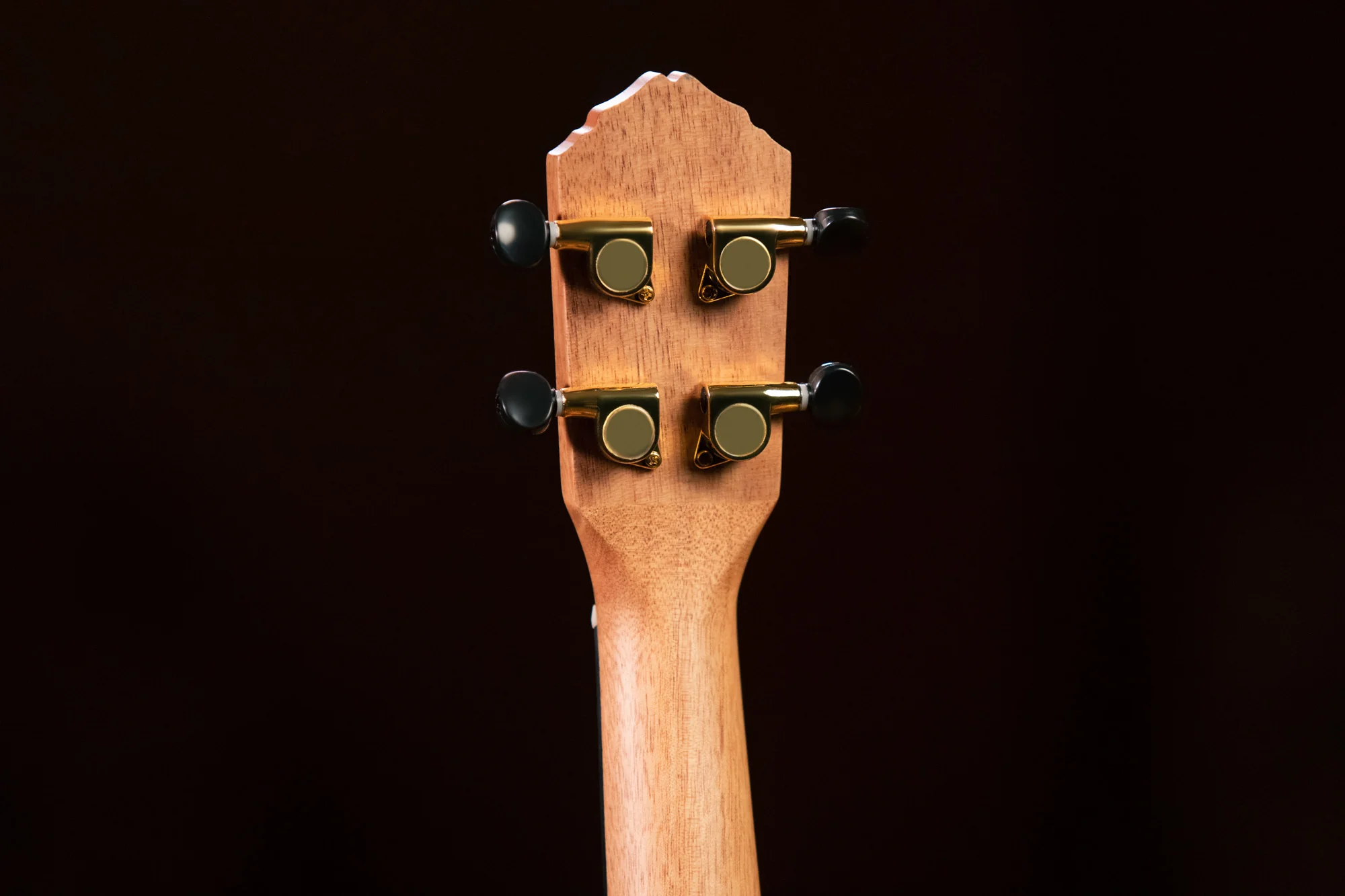 Ortega Ukulele Concert Ebony - Image 6