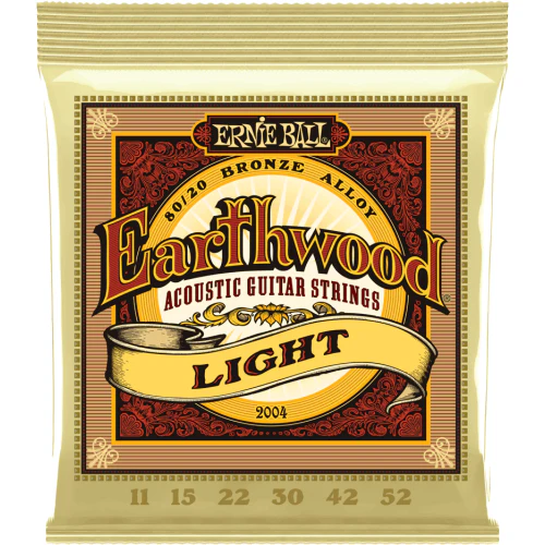 Ernie Ball string set 2004