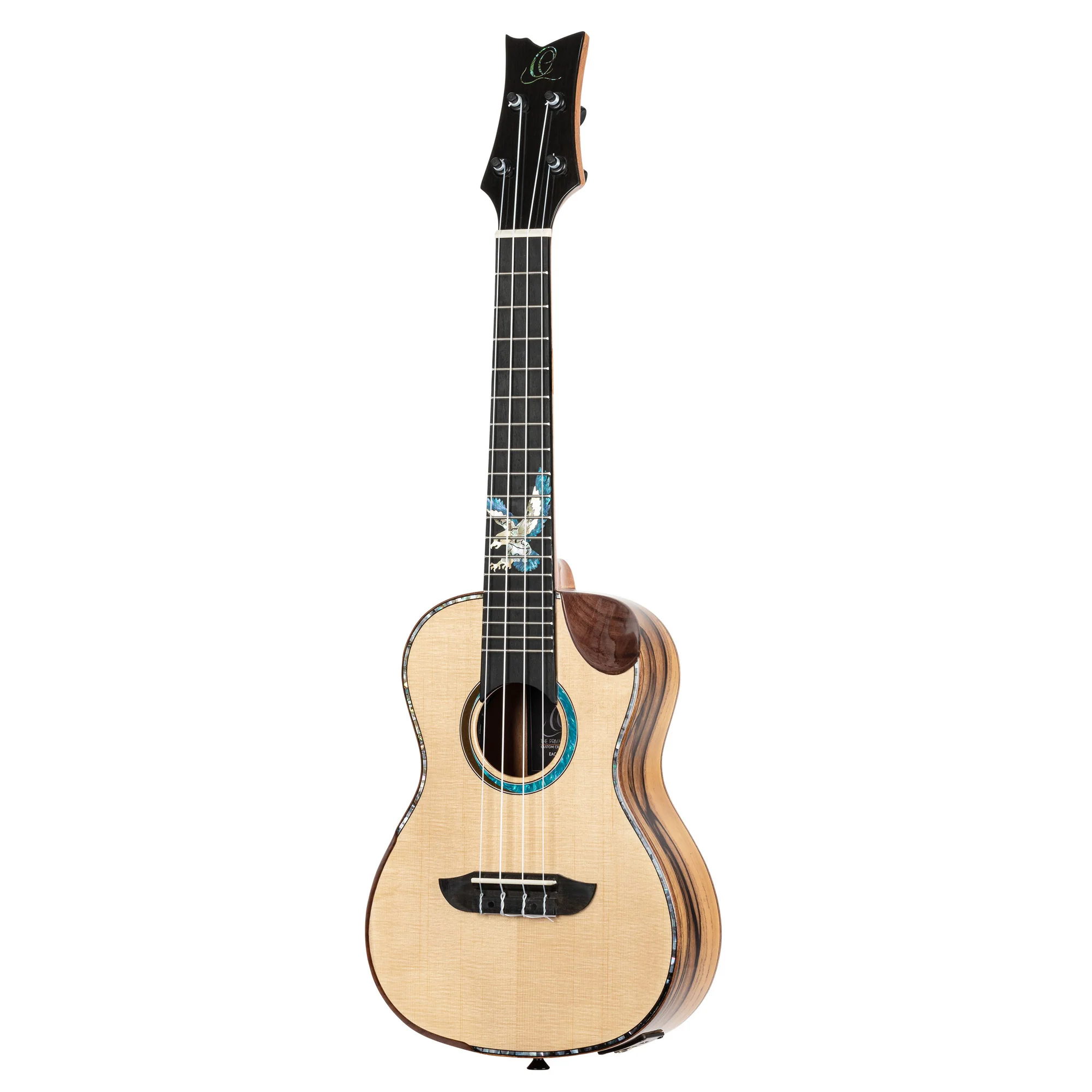 Ortega Ukulele Concert Eaglesuite - Image 3