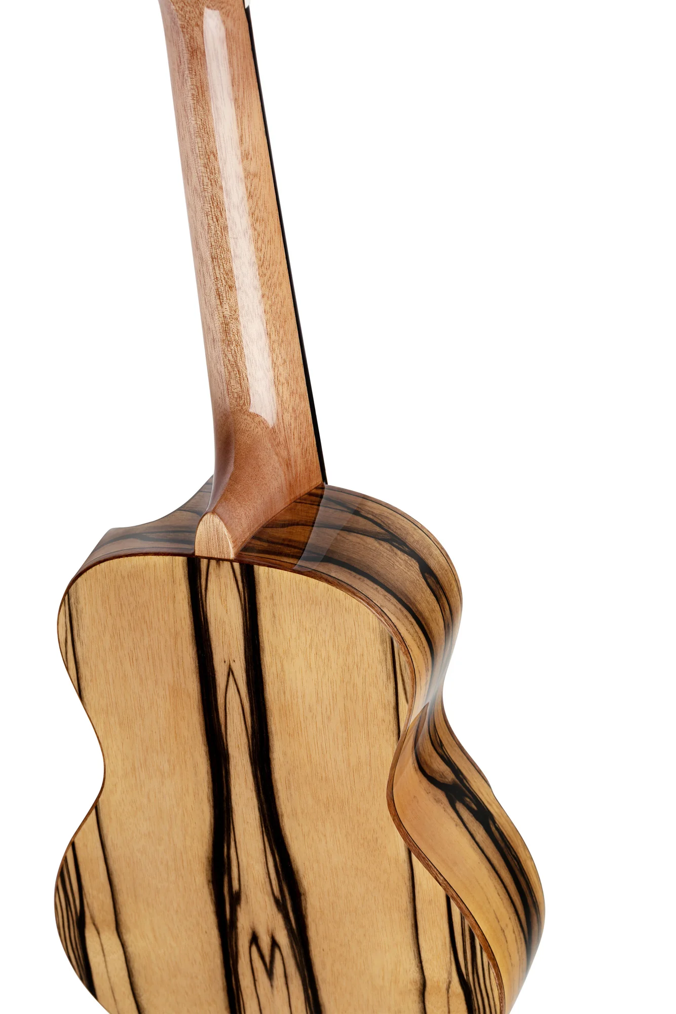 Ortega Ukulele Concert Eaglesuite - Image 9