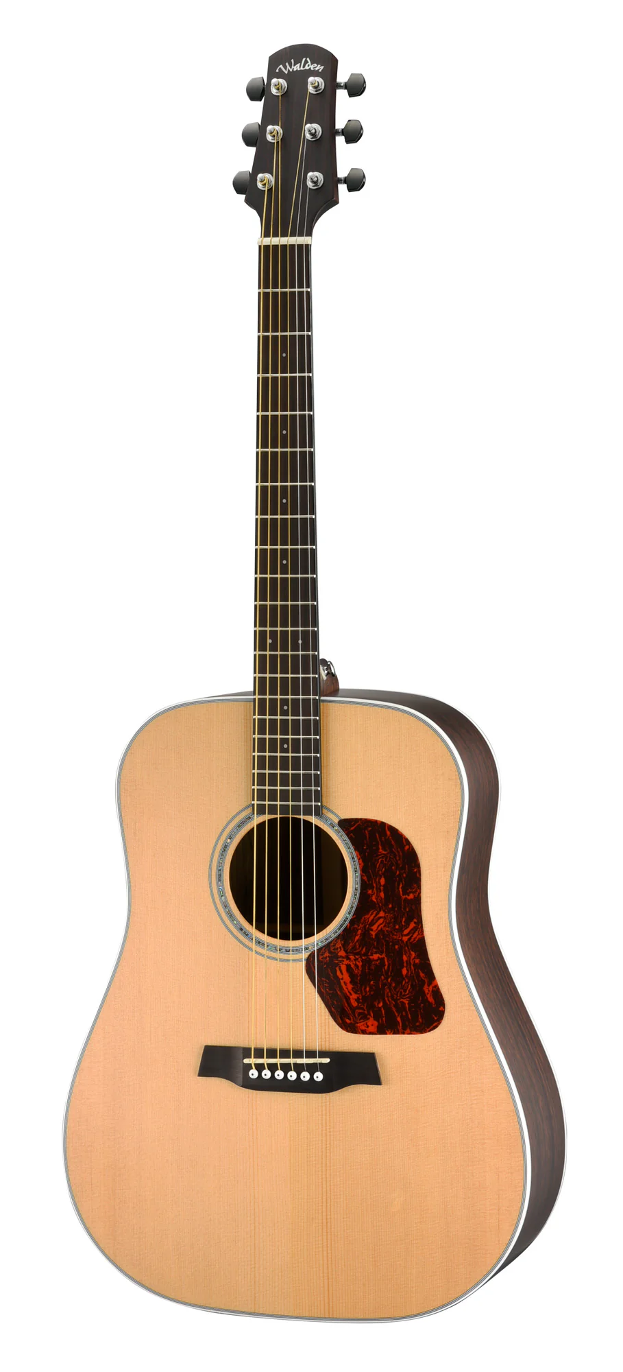 Walden Dreadnought D803